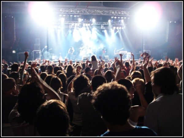 The Crowd in the Concert
