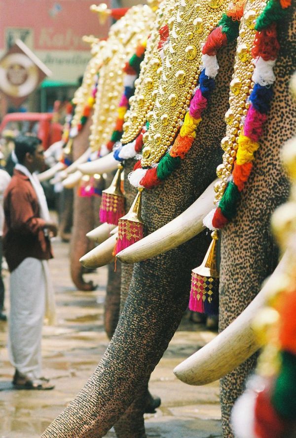 pooram festival