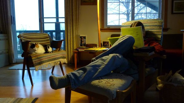 reading