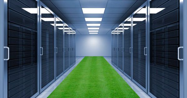 Server room with grass!